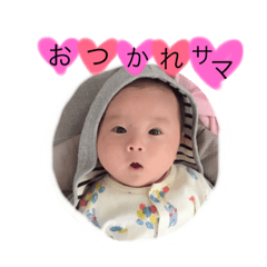 [LINEスタンプ] キュートなはるまくん。の画像（メイン）