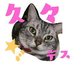 [LINEスタンプ] 紫音くんですよ