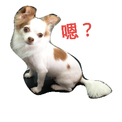 [LINEスタンプ] mimihaha