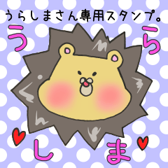 [LINEスタンプ] うらしまさん専用スタンプ