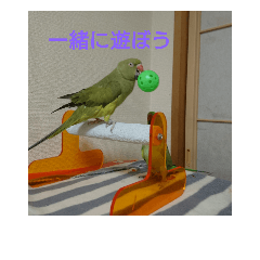 [LINEスタンプ] ウサギとインコとデグーも