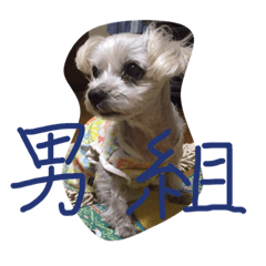 [LINEスタンプ] 大やんの画像（メイン）