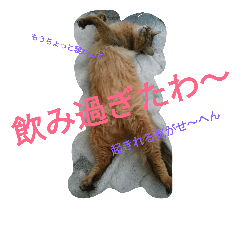 [LINEスタンプ] 関西弁エースvo.3