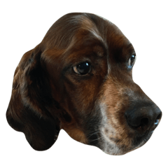 [LINEスタンプ] Cottrel Carson