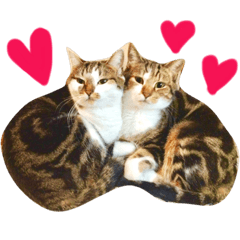 [LINEスタンプ] mylovenyans