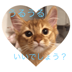 [LINEスタンプ] わさびより