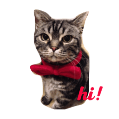 [LINEスタンプ] T.Baron