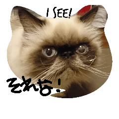[LINEスタンプ] チッパーさん