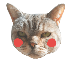 [LINEスタンプ] もこにゃんライフ
