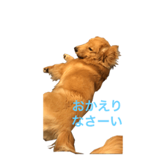 [LINEスタンプ] マーキス＆華