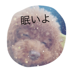 [LINEスタンプ] ここあちゃんの日常2
