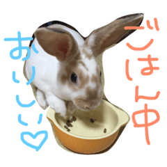 [LINEスタンプ] がんちゃん01