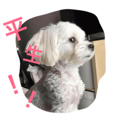 [LINEスタンプ] mocotomoyo