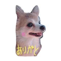[LINEスタンプ] kiuyki2