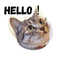 [LINEスタンプ] 華ちゃんのスタンプ