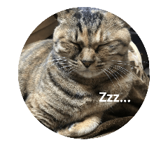 [LINEスタンプ] konoha is wormwood cat！