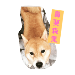 [LINEスタンプ] My Doggy Ban Ban