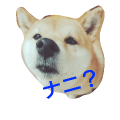 [LINEスタンプ] Momo everyday.