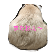[LINEスタンプ] 瑠斗家