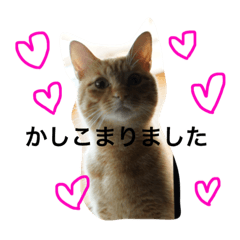 [LINEスタンプ] jiro_jiro