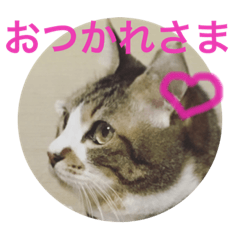 [LINEスタンプ] しあわせねこ2の画像（メイン）