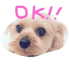 [LINEスタンプ] ラムとフレディ