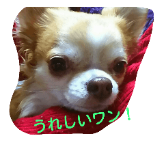 [LINEスタンプ] ラブとルル