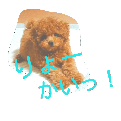 [LINEスタンプ] kurumi-no-kuu3