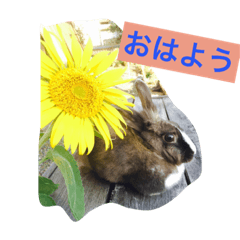 [LINEスタンプ] パナーニ