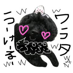 [LINEスタンプ] Saranのきもち♡