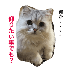 [LINEスタンプ] もふもふ！