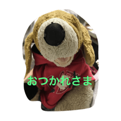 [LINEスタンプ] Bekko no2ver