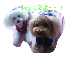 [LINEスタンプ] ジュピ日和