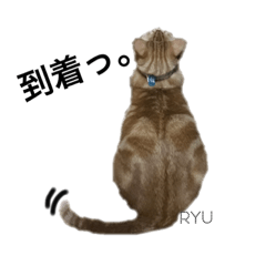 [LINEスタンプ] my name is Ryu