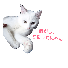 [LINEスタンプ] うちの、ちび