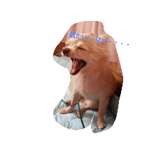 くーまる