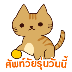 [LINEスタンプ] 猫 : 今日の若者言葉 タイ語