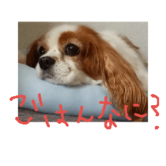[LINEスタンプ] ちっくわ！