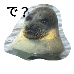 [LINEスタンプ] 動物園のどうぶつ。