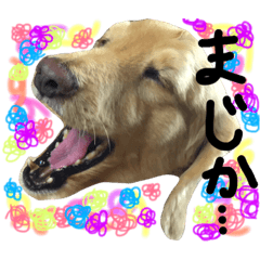 [LINEスタンプ] ルークらぶ！