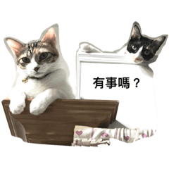 [LINEスタンプ] Hua＆Yuan
