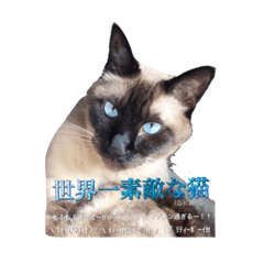 [LINEスタンプ] 世界1(当社調べ)可愛いうちの子