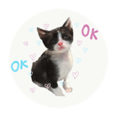 [LINEスタンプ] はちくまスタンプその1