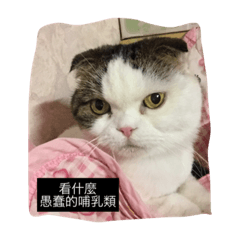 [LINEスタンプ] MI_DI