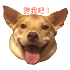 [LINEスタンプ] L＆J Happy Day2