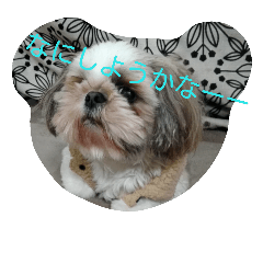 [LINEスタンプ] じろーくん