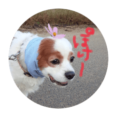 [LINEスタンプ] キャバリア北斗のスタンプ2