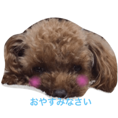 [LINEスタンプ] 凜ちゃんと愉快な仲間たち