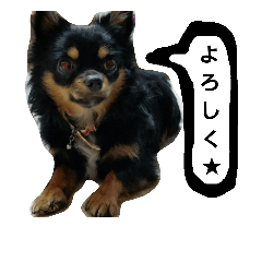 [LINEスタンプ] konankun stamp