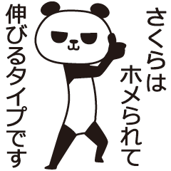 [LINEスタンプ] さくらパンダさん